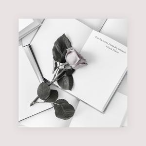 美女裸体被❌羞羞真
